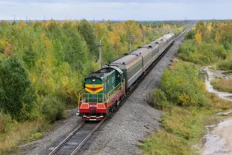 Железная дорога архангельск