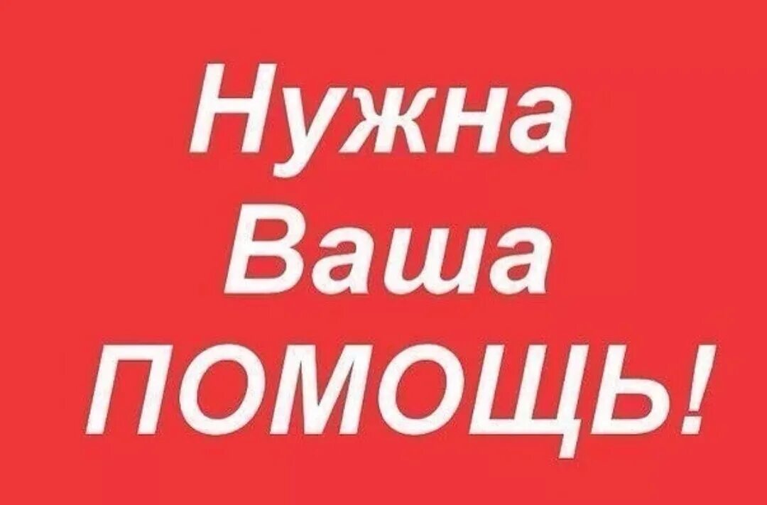 Нужна помощь. Нужна ваша помощь. Очень нужна ваша помощь. Помогите картинка
