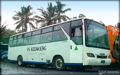Bus автобус vdr воронеж