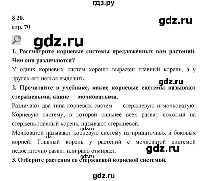 Биология 20 параграф 6 класс краткое содержание