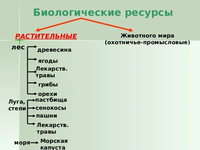 Состояние биологических ресурсов