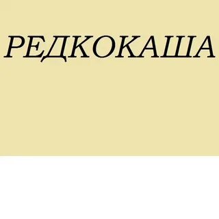 Фамилии 2024
