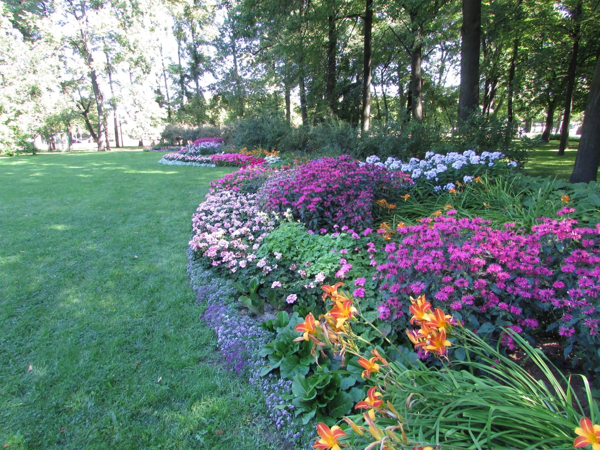 Ирисы в рабатке. Клумба с тюльпанами. Клумба весной. Кёкенхоф рабатка. Миксбордеры кекенхоф.