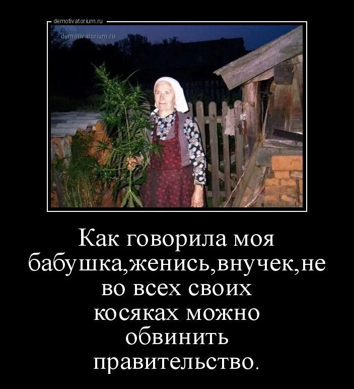 Что ты скажешь бабушке пошла