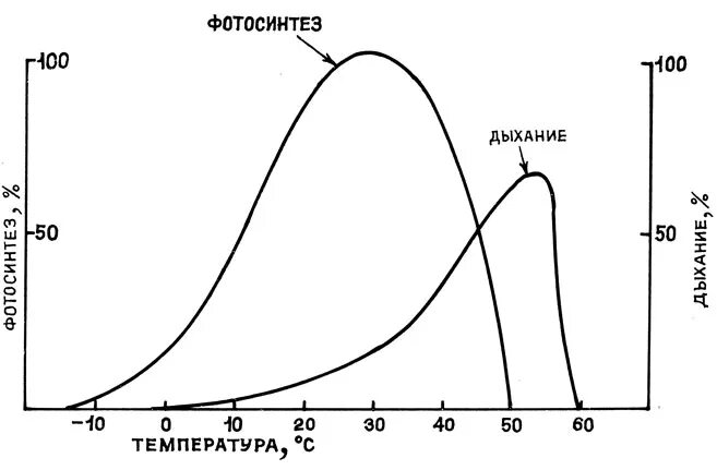 Как изменится интенсивность дыхания и интенсивность фотосинтеза