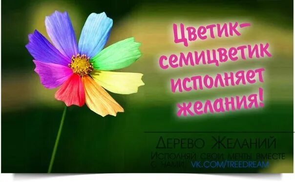 Цветок исполнения желаний. Цветик семицветик исполнения желаний. цветик семицветик исполняет желания. цветок исполняющий желания. желания для цветика семицветика.