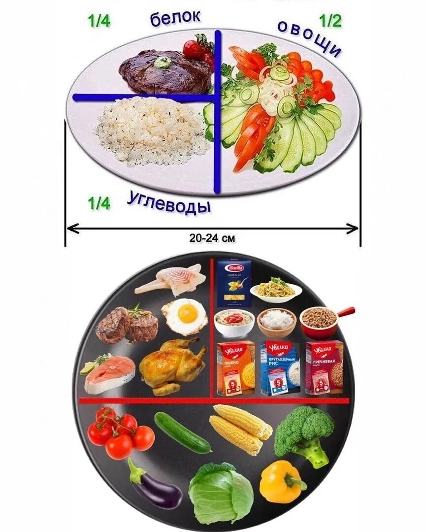 Метаболическая тарелка меню на неделю. Тарелка правильного питания. Тарелка сбалансированного питания. Тарелка правильного питания для похудения. Правило тарелки в питании.
