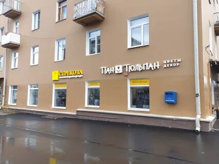 Петрозаводск ул кирова