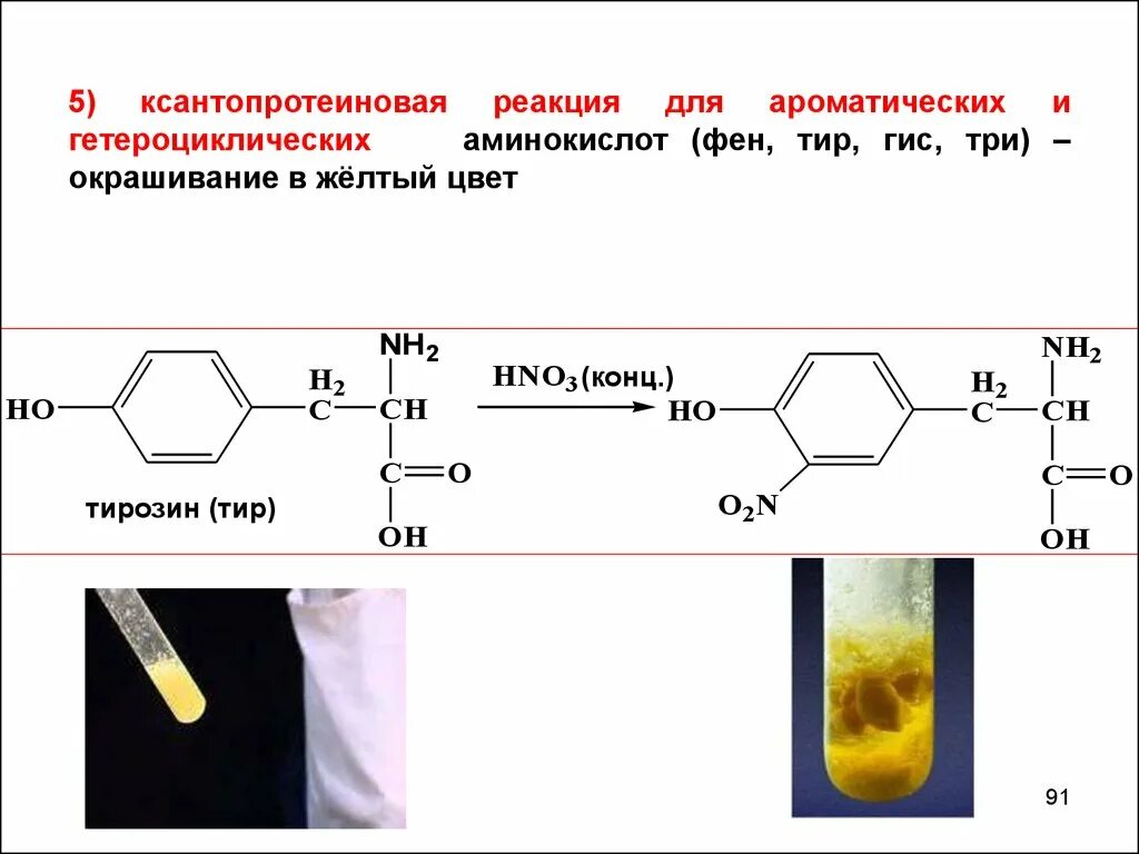 Полипептид с азотной кислотой дает окрашивание. Цветные реакции на белки ксантопротеиновая реакция. Ксантопротеиновая реакция на тирозин. Ксантопротеиновая реакция на ароматические аминокислоты. Качественные реакции на аминокислоты ксантопротеиновая.