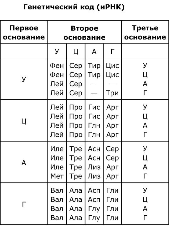 Таблица триплетов генетического кода и РНК. Генетический код белка таблица. Генетический код ИРНК таблица. Таблица генетического кода ТРНК.