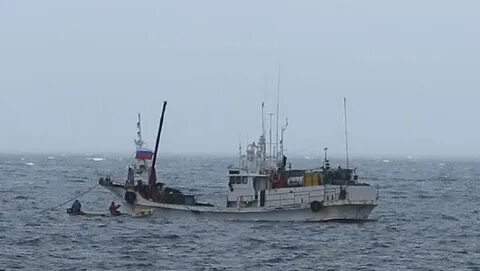 Вести с морей