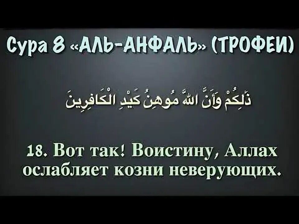 Ясин 8 аят. Аль анбия. Сура 8 аят 39 толкование. Сура таха 5 аят. Сура 8 аят 39 толкование.
