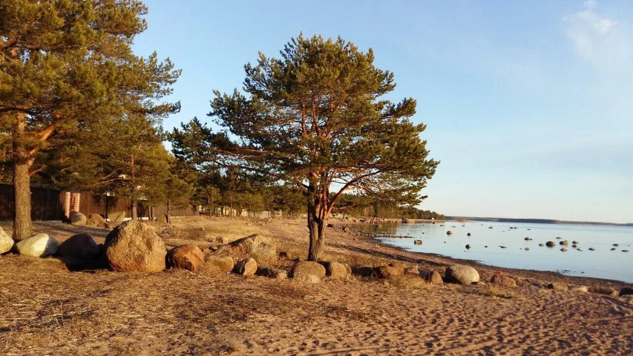 Приморск пляж. Манола ленинградская область. приморск пляж ленинградская область.