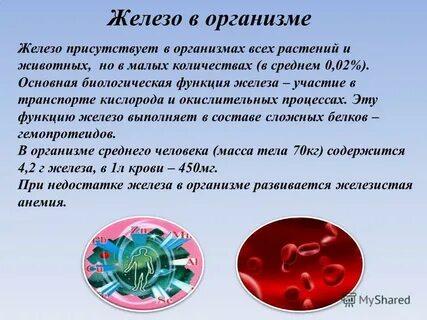 Железа это простыми словами