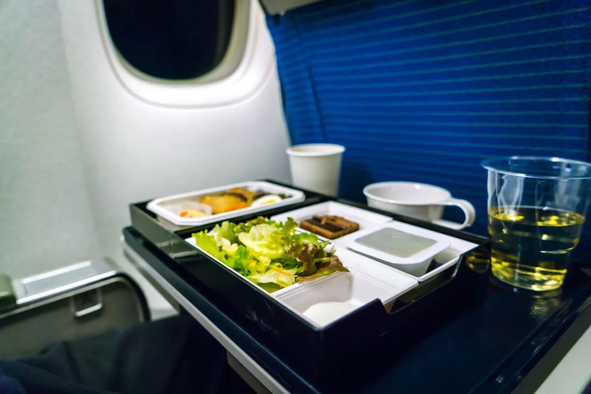 Можно еду на борт самолета. Еда в самолете. Поднос с едой в самолете. Контейнер для питания самолет. Бортового питания.