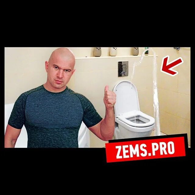 Zems pro отзывы
