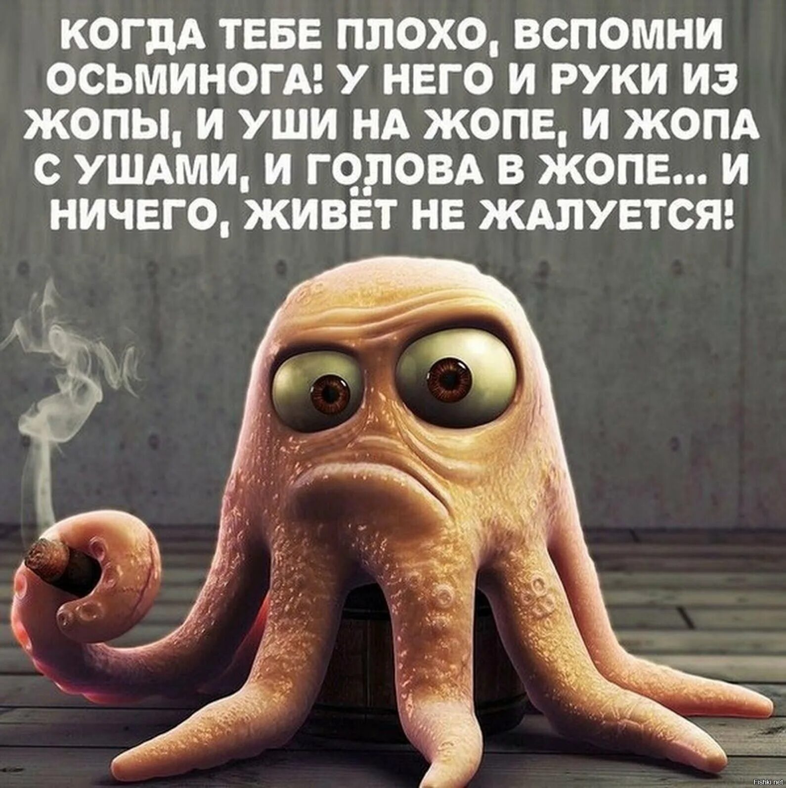 Смешно на ватсап