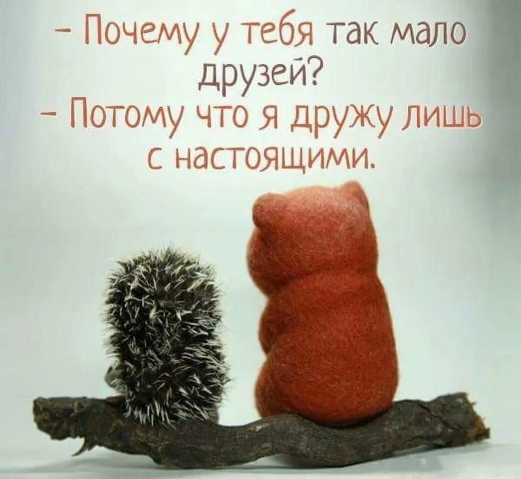 Очень дружить