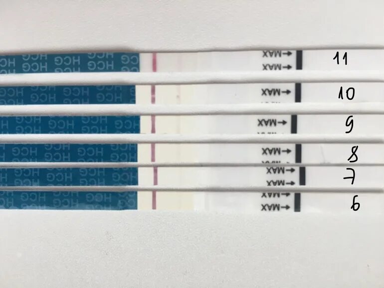 7 дпп пятидневок тест. ХГЧ 9 на 7 ДПП пятидневок.