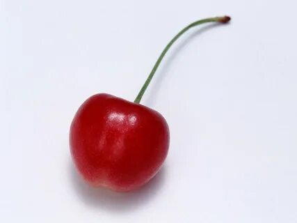 Вишня 1
