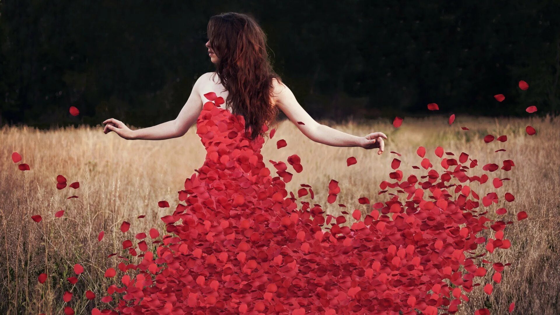 Мне красный в себе я уверен. Девушка с цветами. Фотосессия с розами. Красивая девушка в Красном платье. Девушка в Красном платье с цветами.