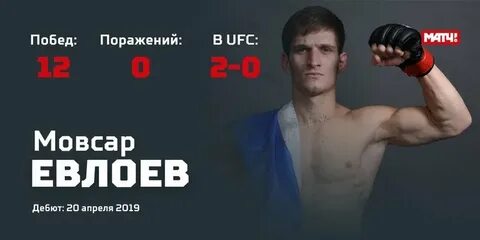 Статистика побед и поражений