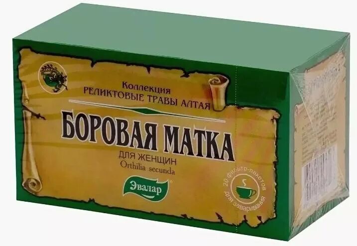 Лечебные растения. Травы горного крыма боровая матка. Лечебная трава боровая матка. Боровая матка алтай ордилия. Боровая матка состав.