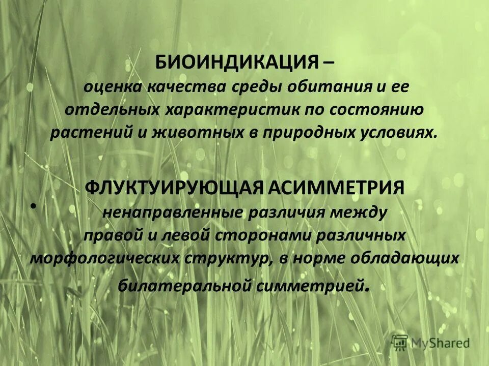 Флуктуирующую асимметрию. Коэффициент флуктуирующей асимметрии формула захаров. Показатель флуктуирующей асимметрии. Флуктуирующая асимметрия. Биоиндикация березы повислой.