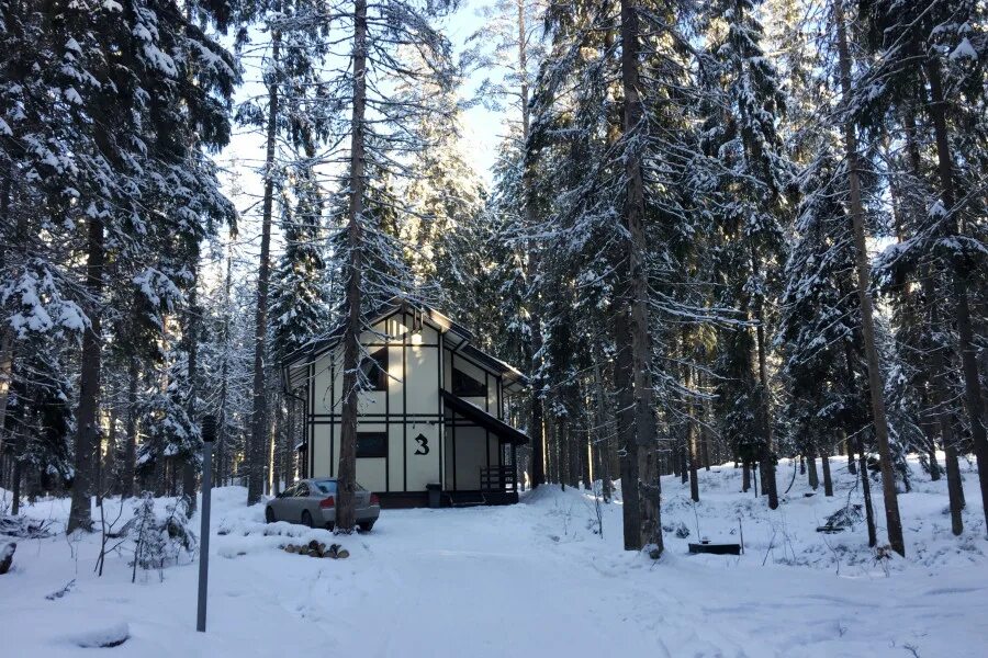 Поселок Ильичево. Ильичёво (Ленинградская область). Посёлок Ильичёво Выборгский район Ленинградской области. Ильичево посёлок Ильичёво.