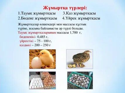 Тауықтың дәретханасына онлайн қарау