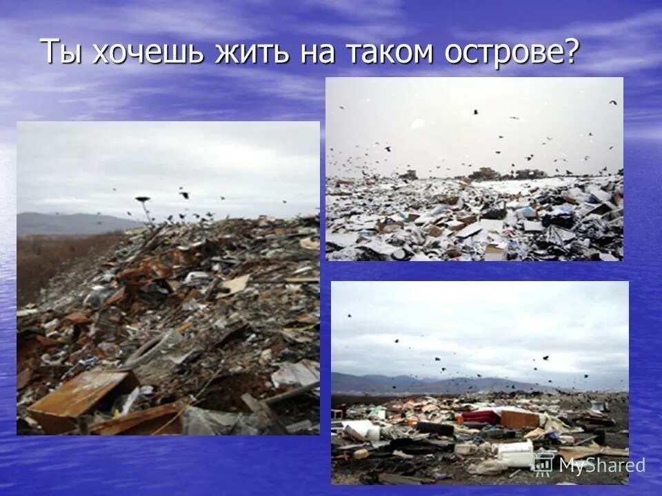 загрязнение сахалина. экология сахалина. экологические проблемы сахалина. экологические проблемы сахалина. экология сахалина.