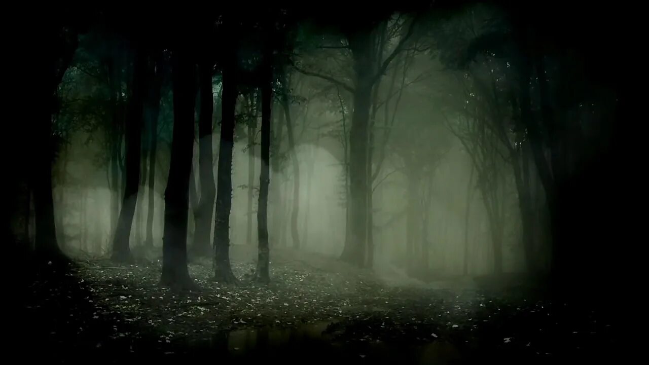 Жуткий фон для фотошопа. Темный лес геншин. Жуткий фон. Темный страшный фон. Жуткий лес.