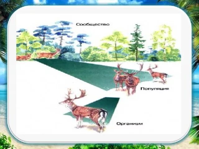 Экосистема тундры. Экосистема тундры схема. Обитатели экосистемы тундры. Модель экосистемы тундры. Пищевая сеть биогеоценоза в тундре