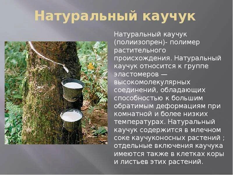 Натуральный каучук. Природный каучук. Цвет натурального каучука. Натуральный и искусственный каучук. Натуральный каучук это поли.