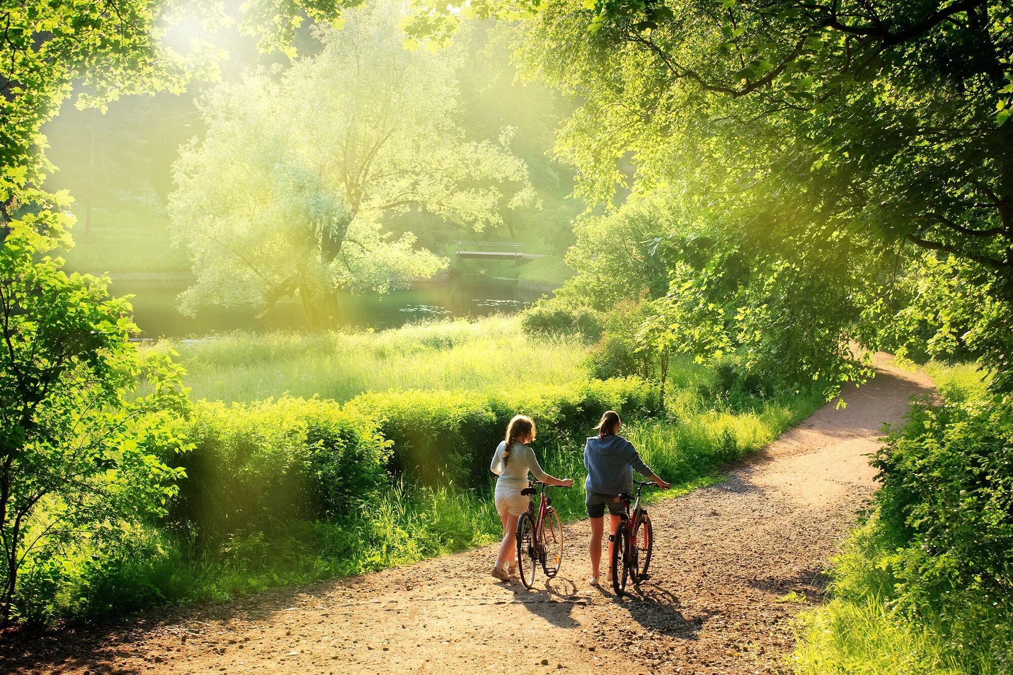 We live nature. Прогулка на природе. Прогулка в лесу. Прогулка летом. Летняя природа.