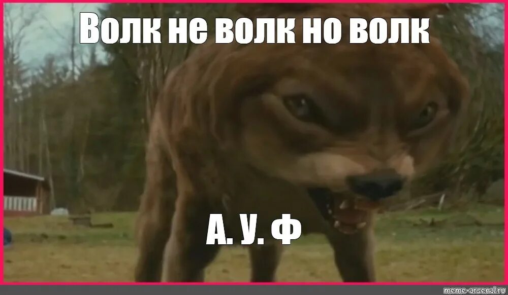 анастасия жилина рыжая. бесконечное лето мод саманта алиса. мое рыжее безумие. женщина осень. наталья мацук томск.