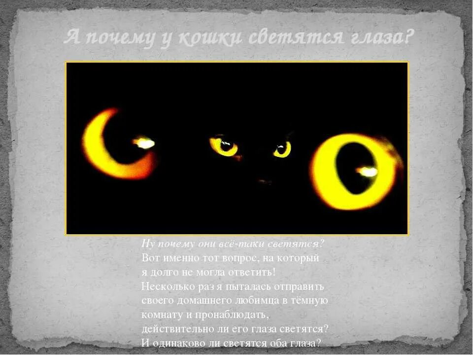 Почему человек светится в темноте. У кошки светятся глаза в темноте. кошачий глаз светится в темноте. светящиеся кошачьи глаза. светящиеся глаза кошки в темноте.