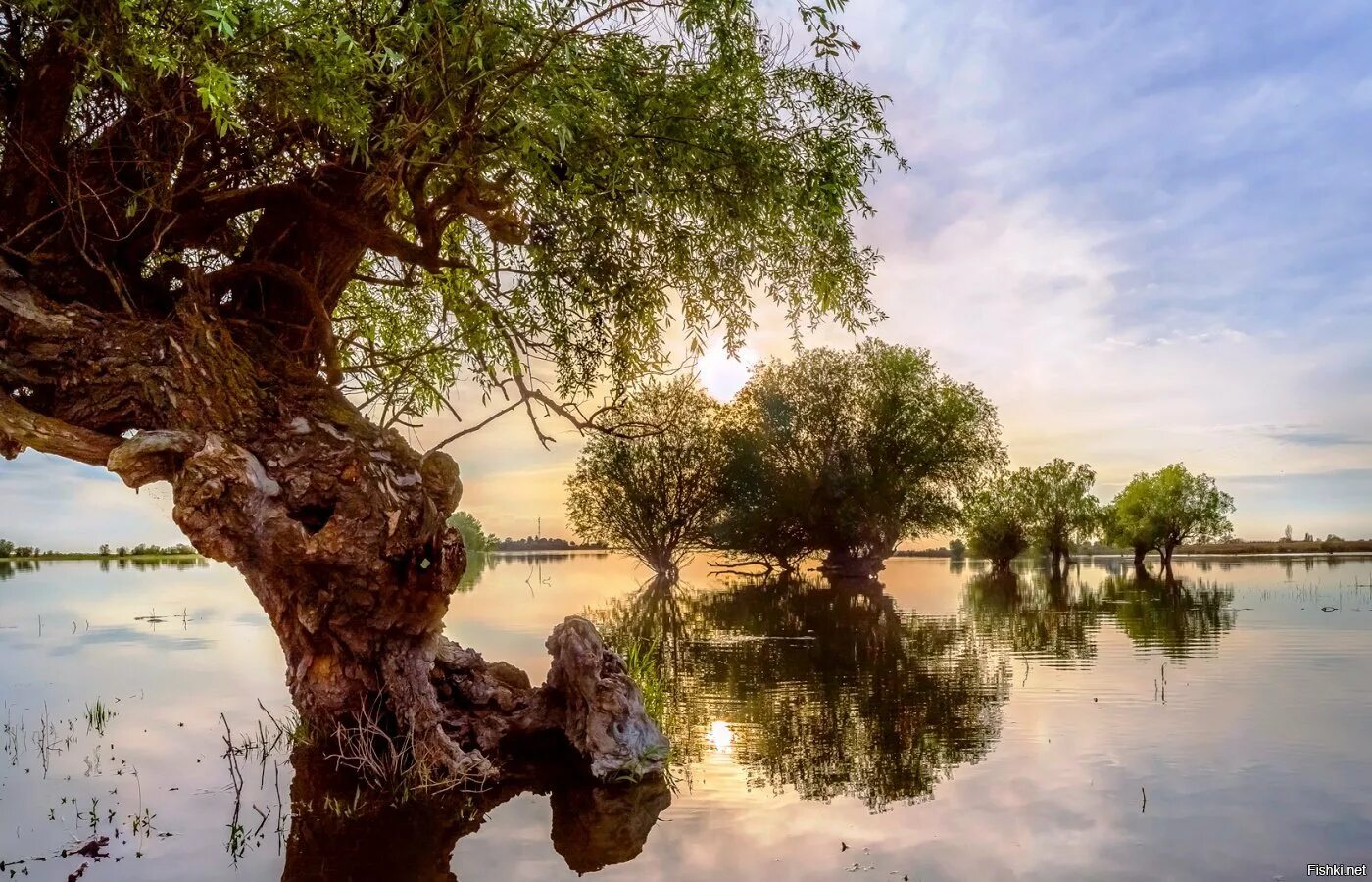 дельта волги. дельта реки волга в астрахани. астрахань речка. делта реки волги. дельта реки волга астраханская область.