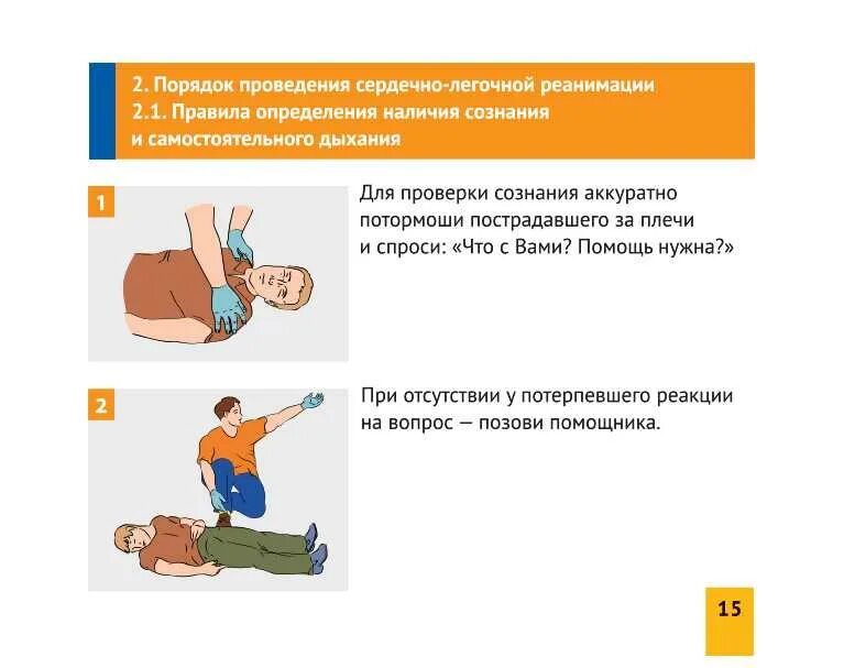 Каким образом проводится сердечно. Порядок действий при оказании сердечно легочной реанимации. Порядок проведения сердечно-легочной реанимации пострадавшему. Алгоритм проведения сердечно-лёгочной реанимации МЧС. Порядок действий при оказании первой помощи пострадавшему в сознании.