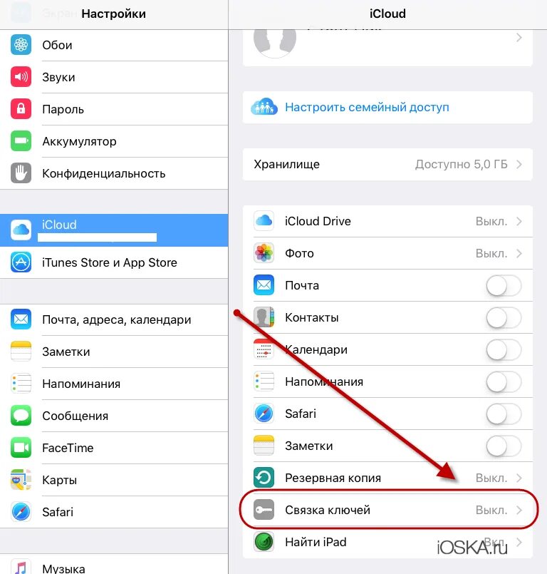 Сохраненные пароли iphone. Настройки паролей. Пароли в настройках айфона. Связка ключей на айфоне. Настройки ICLOUD.