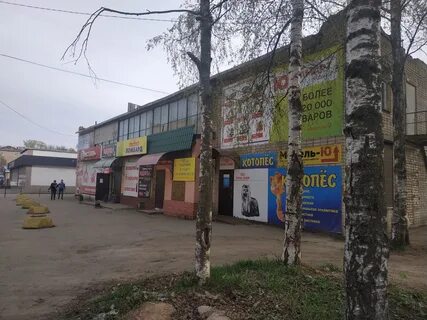 КотоПёс, pet shop, Сафоново, Советская улица, 17 — Yandex Maps.