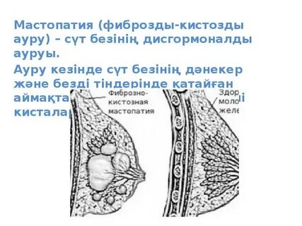 Жас, әдемі порномодельмен нәзік, нәзік секс
