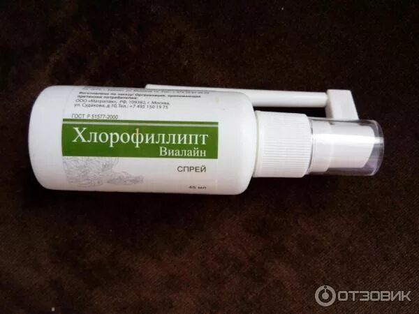 Хлорофиллипт для небулайзера. Хлорофиллипт для небулайзера