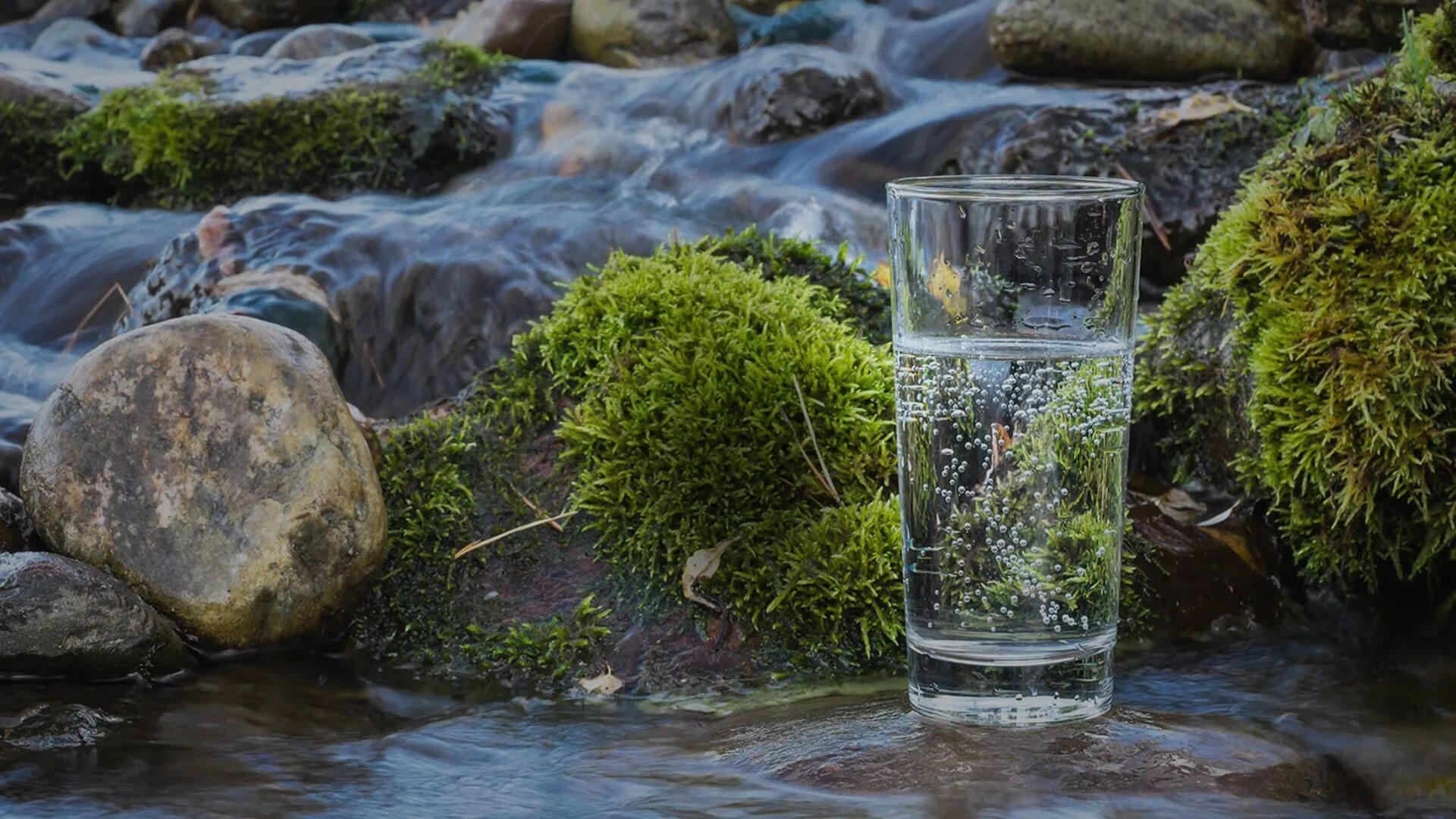 Водные живые ресурсы. Чистая вода. Водные живые ресурсы. Вода в природе. Водные живые ресурсы.