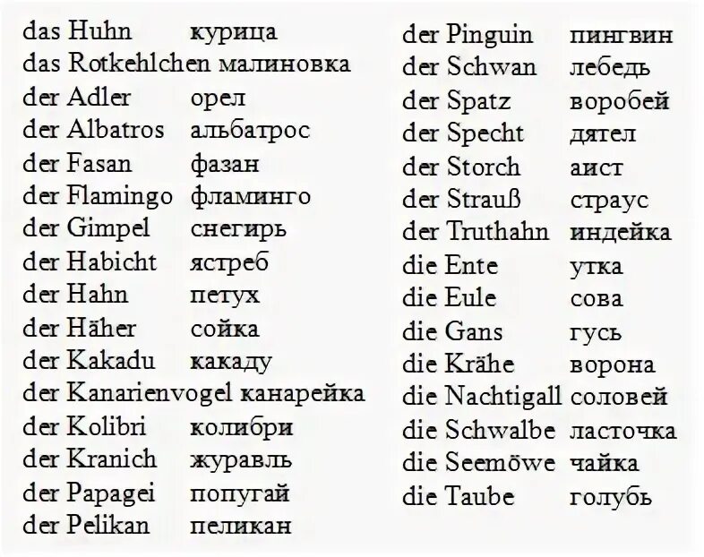 Слова немецкий уровень. Птица на немецком с переводом. Слова на а1 немецкий. Словарные слова по немецкому. Словарные слова в немецком языке.