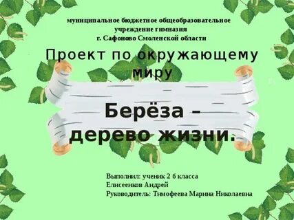 Осенью береза окружающий мир 2