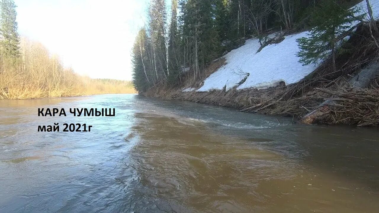 Уровень воды в реке чумыш. Чумыш Костенково.