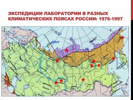 Что можно узнать по климатическим картам кратко