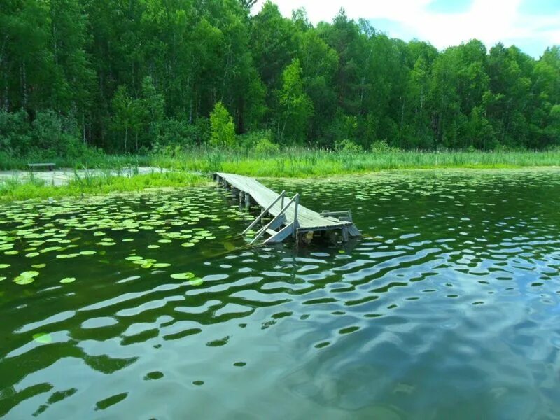 Озеро потаенное омская область фото Сегодня , я кратко расскажу вам о чудном озере, которое находится в Кыштовском р
