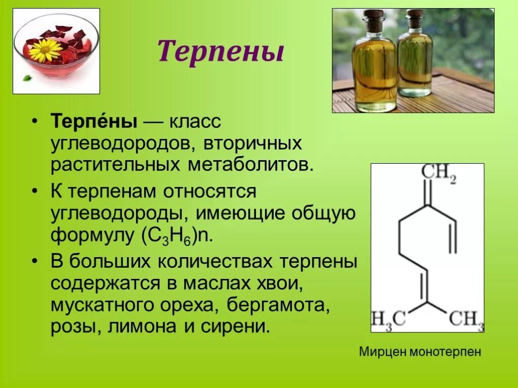 Масла относятся к классу. Терпены. Терпены строение. Терпены в медицине. Монотерпены эфирные масла.